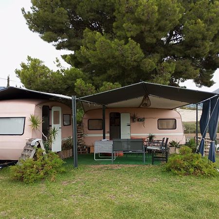 Caravana- Glamping Casa Tortuga La Nucía Buitenkant foto