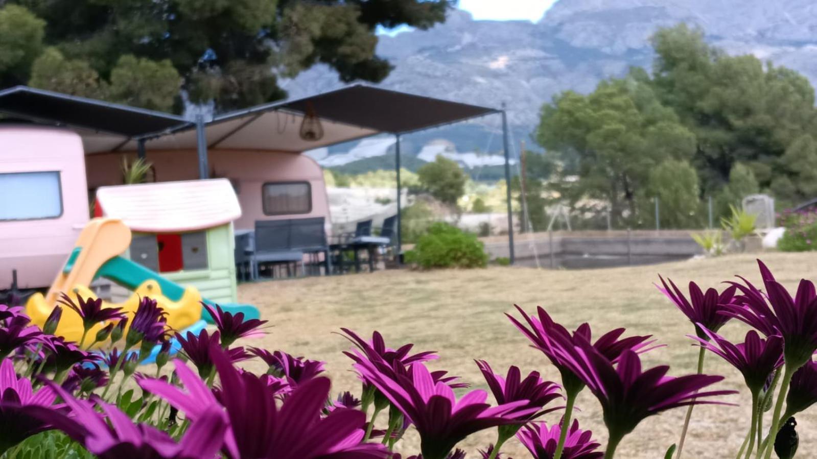 Caravana- Glamping Casa Tortuga La Nucía Kamer foto